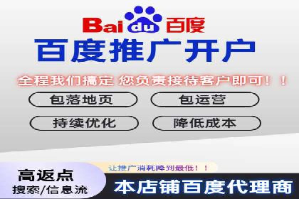 百度推广平台案例集锦：成功案例背后的故事